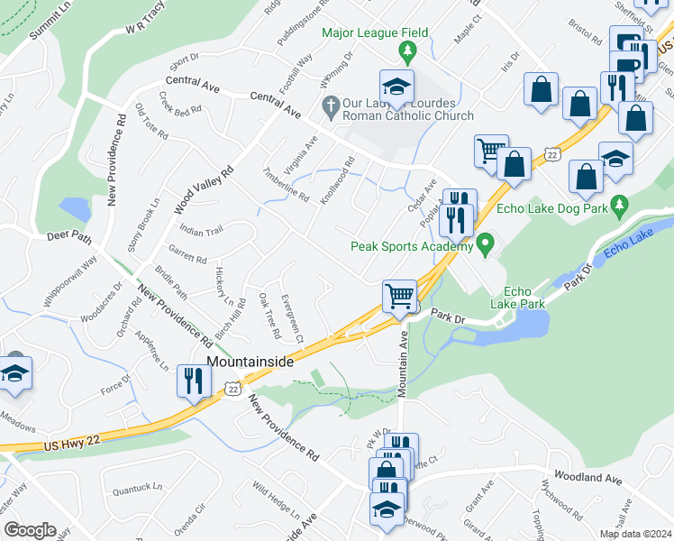 map of restaurants, bars, coffee shops, grocery stores, and more near 251 Old Tote Road in Mountainside