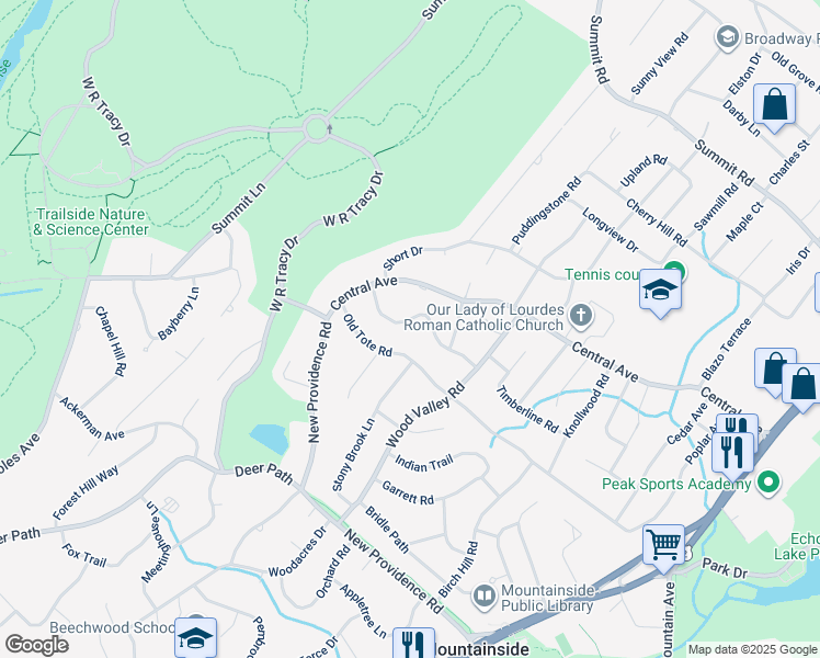map of restaurants, bars, coffee shops, grocery stores, and more near 364 Creek Bed Road in Mountainside