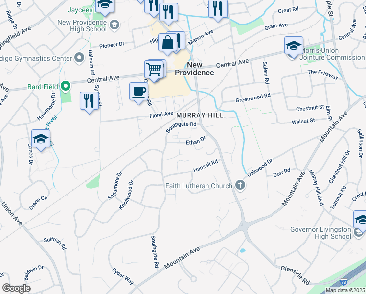 map of restaurants, bars, coffee shops, grocery stores, and more near 48 Ethan Drive in New Providence