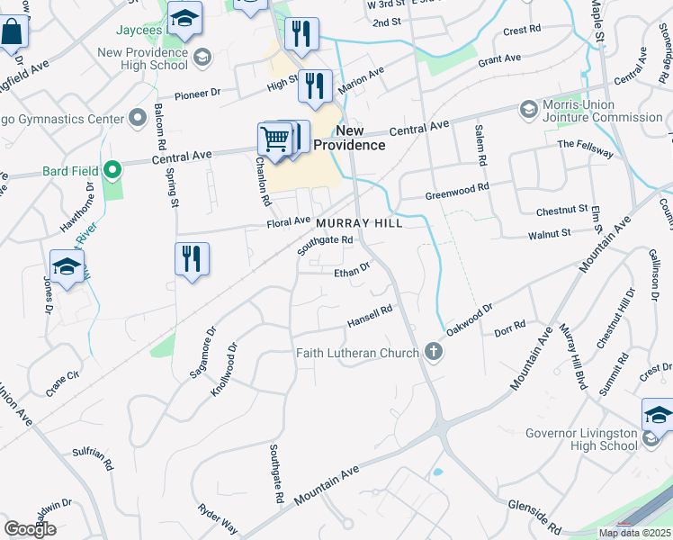 map of restaurants, bars, coffee shops, grocery stores, and more near 41 Ethan Drive in New Providence