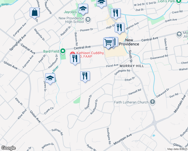 map of restaurants, bars, coffee shops, grocery stores, and more near 11 Spring Floral Drive in New Providence