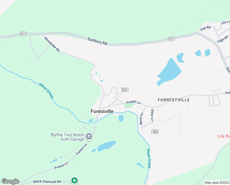 map of restaurants, bars, coffee shops, grocery stores, and more near 44 White Lane in Pottsville