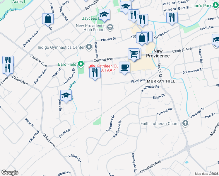 map of restaurants, bars, coffee shops, grocery stores, and more near 175 Floral Ave in New Providence