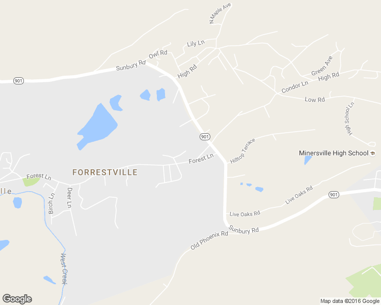 map of restaurants, bars, coffee shops, grocery stores, and more near 807 Forest Lane in Pottsville