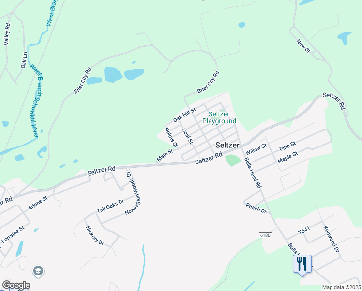 map of restaurants, bars, coffee shops, grocery stores, and more near 113 Main Street in Seltzer