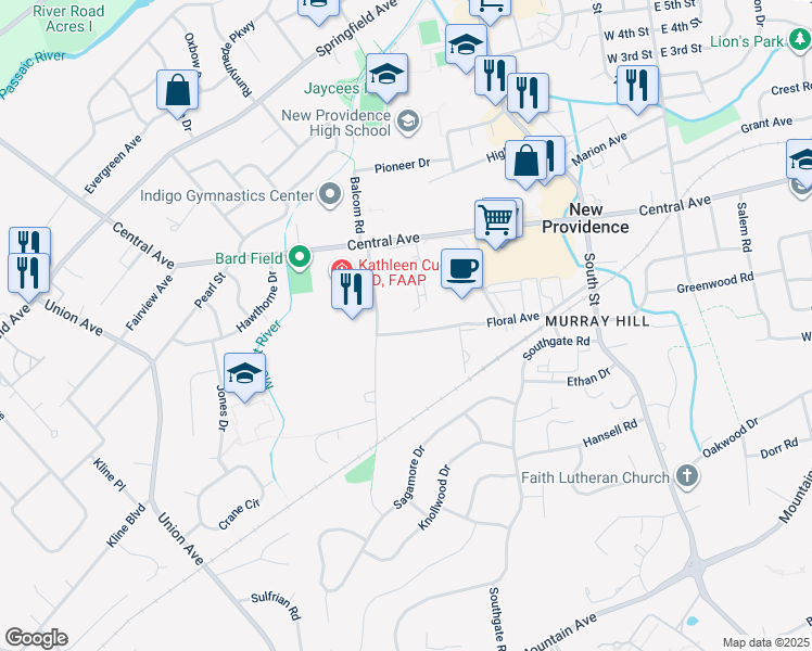 map of restaurants, bars, coffee shops, grocery stores, and more near 175 Floral Avenue in New Providence