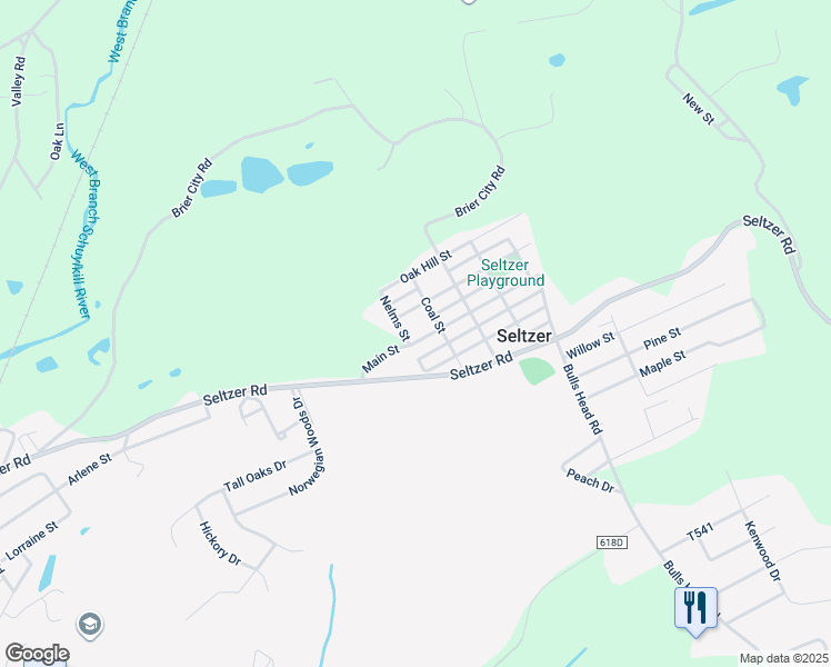 map of restaurants, bars, coffee shops, grocery stores, and more near 113 Main Street in Seltzer