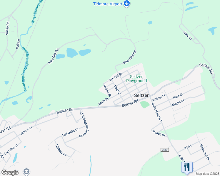 map of restaurants, bars, coffee shops, grocery stores, and more near 117 Delaware Street in Seltzer