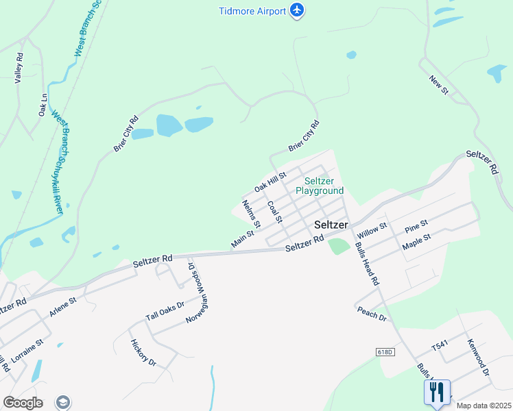 map of restaurants, bars, coffee shops, grocery stores, and more near 117 Delaware Street in Seltzer