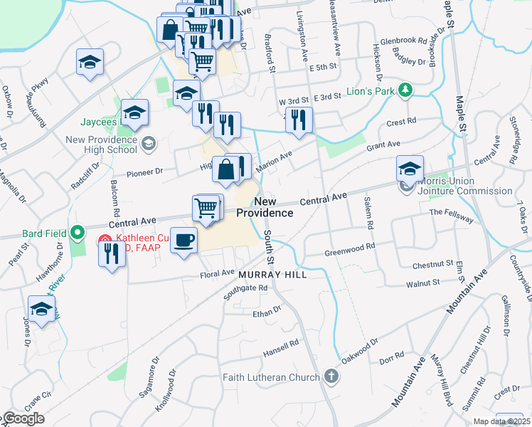 260 South Street, New Providence NJ Walk Score