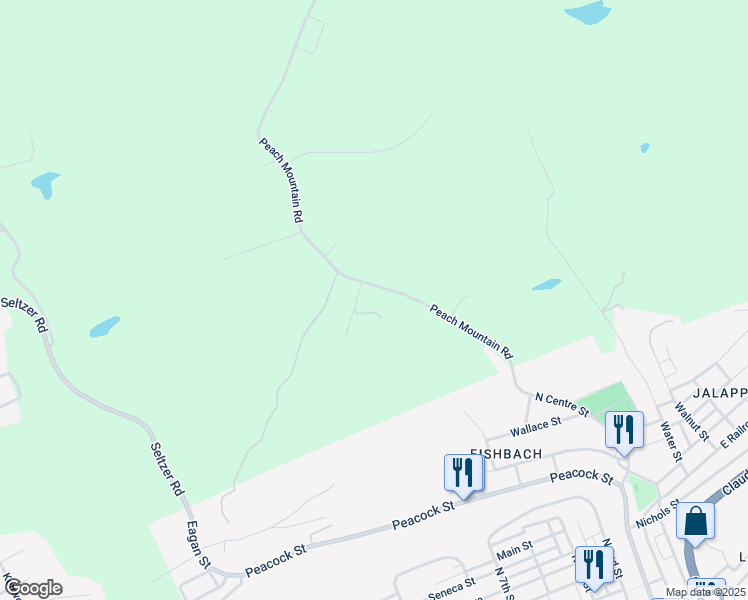 map of restaurants, bars, coffee shops, grocery stores, and more near 1067 Peach Mountain Road in Pottsville