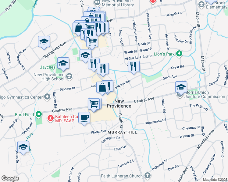map of restaurants, bars, coffee shops, grocery stores, and more near 419 South Street in New Providence