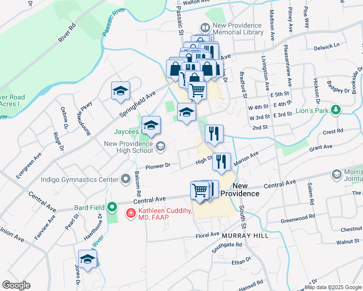 map of restaurants, bars, coffee shops, grocery stores, and more near 53 Westview Avenue in New Providence