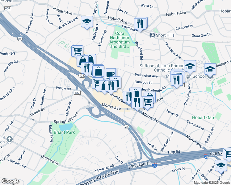 map of restaurants, bars, coffee shops, grocery stores, and more near 697 Morris Turnpike in Springfield