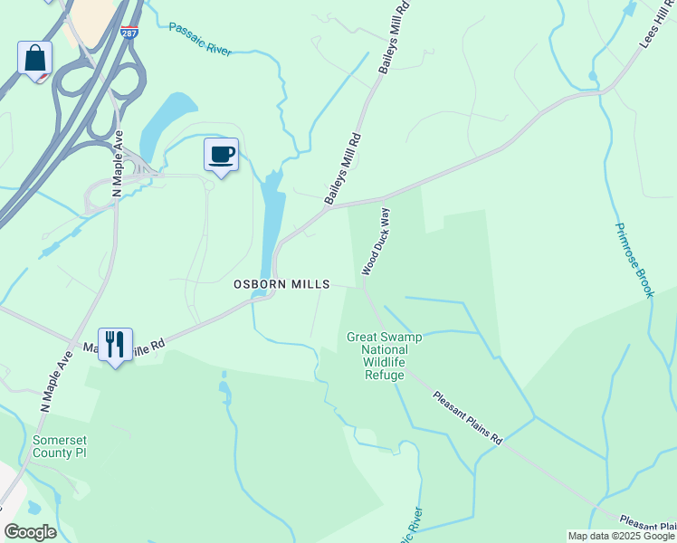 15 Pleasant Plains Road, Basking Ridge NJ Walk Score