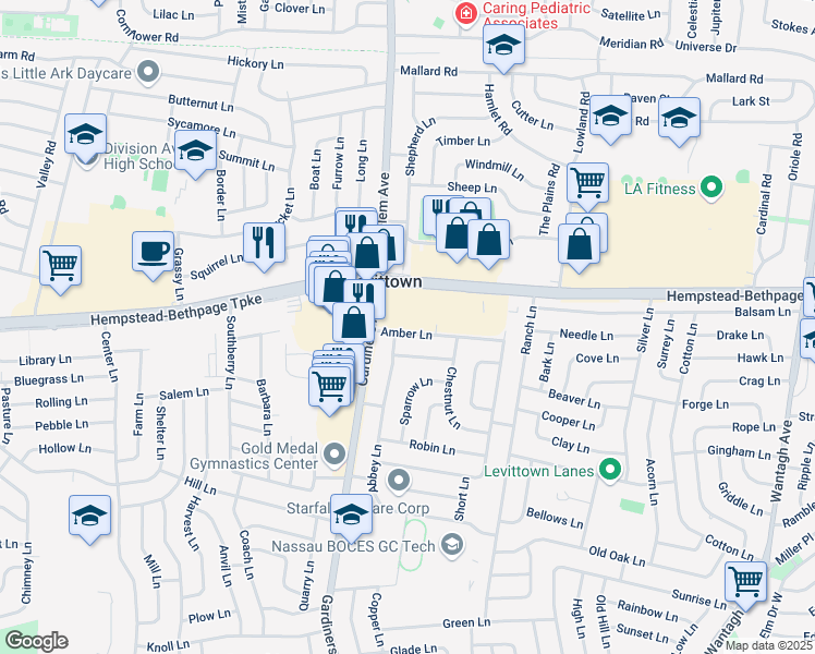map of restaurants, bars, coffee shops, grocery stores, and more near 19 Amber Lane in Levittown
