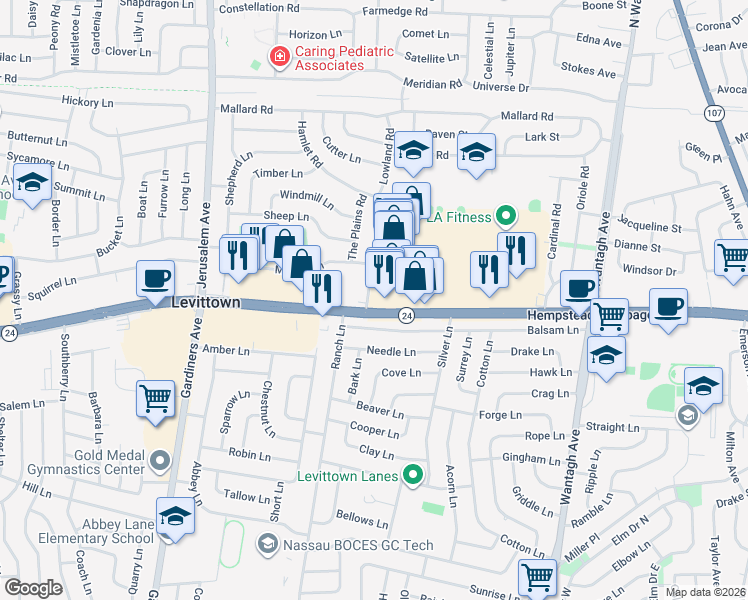 map of restaurants, bars, coffee shops, grocery stores, and more near 124 Hamlet Road in Levittown