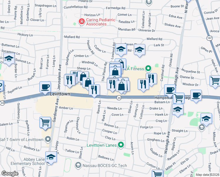 map of restaurants, bars, coffee shops, grocery stores, and more near 124 Hamlet Road in Levittown
