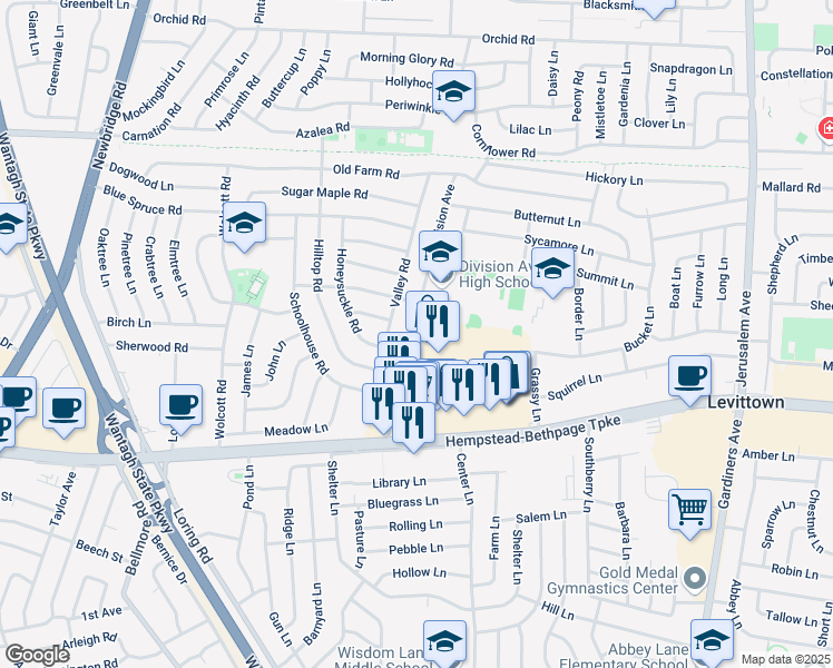 map of restaurants, bars, coffee shops, grocery stores, and more near 117 Division Avenue in Levittown