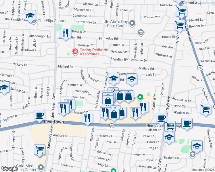 map of restaurants, bars, coffee shops, grocery stores, and more near 41 Lowland Road in Levittown
