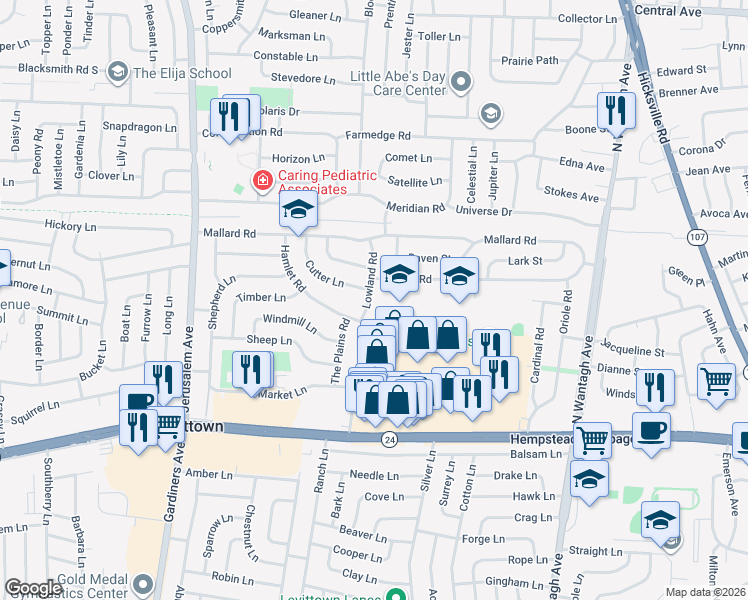 map of restaurants, bars, coffee shops, grocery stores, and more near 41 Lowland Road in Levittown