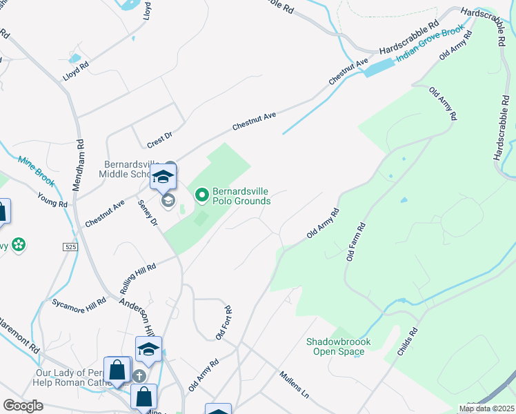 map of restaurants, bars, coffee shops, grocery stores, and more near 8 Spruce Place in Bernardsville