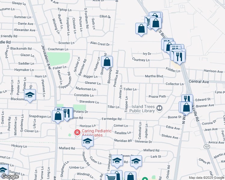 map of restaurants, bars, coffee shops, grocery stores, and more near 31 Prentice Road in Levittown