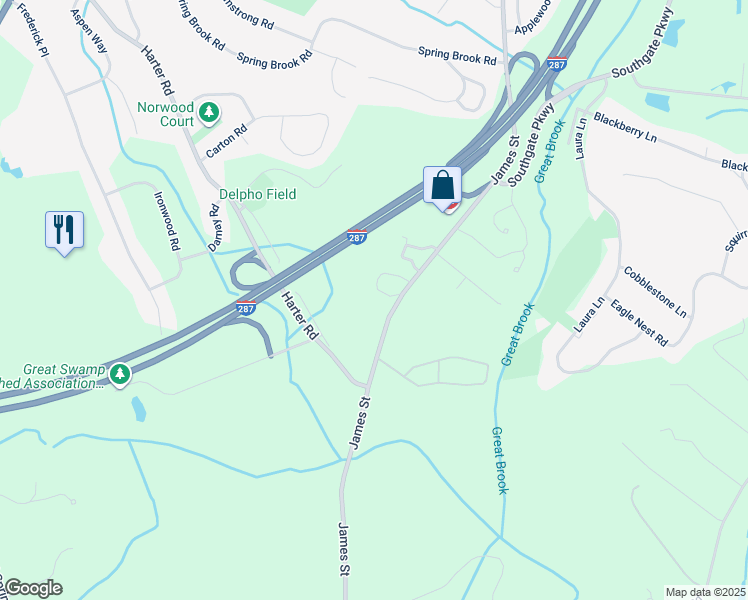 287 James Street, Morristown NJ Walk Score