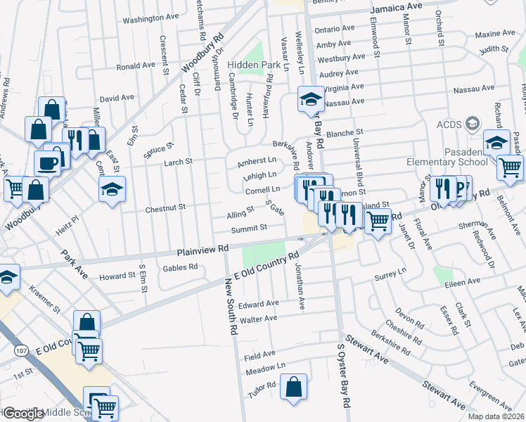 map of restaurants, bars, coffee shops, grocery stores, and more near 46 Cornell Lane in Hicksville