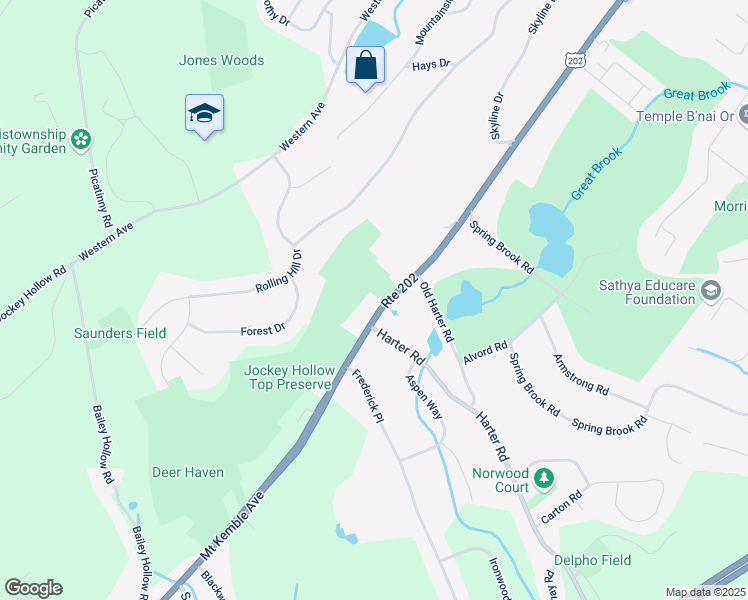map of restaurants, bars, coffee shops, grocery stores, and more near 287 Mount Kemble Avenue in Morristown