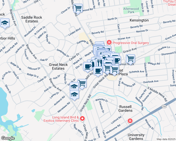 map of restaurants, bars, coffee shops, grocery stores, and more near 1 Town House Place in Great Neck Plaza