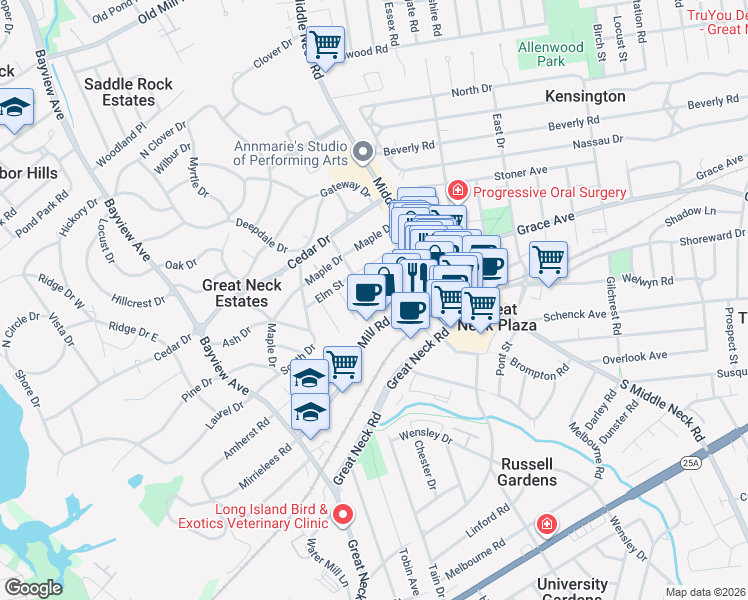 map of restaurants, bars, coffee shops, grocery stores, and more near 1 Town House Place in Great Neck Plaza
