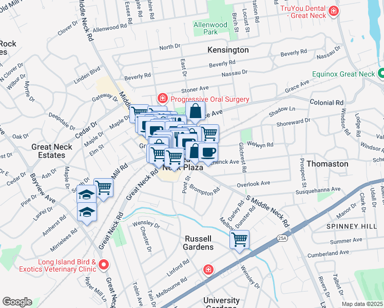 map of restaurants, bars, coffee shops, grocery stores, and more near 5 Schenck Avenue in Great Neck Plaza