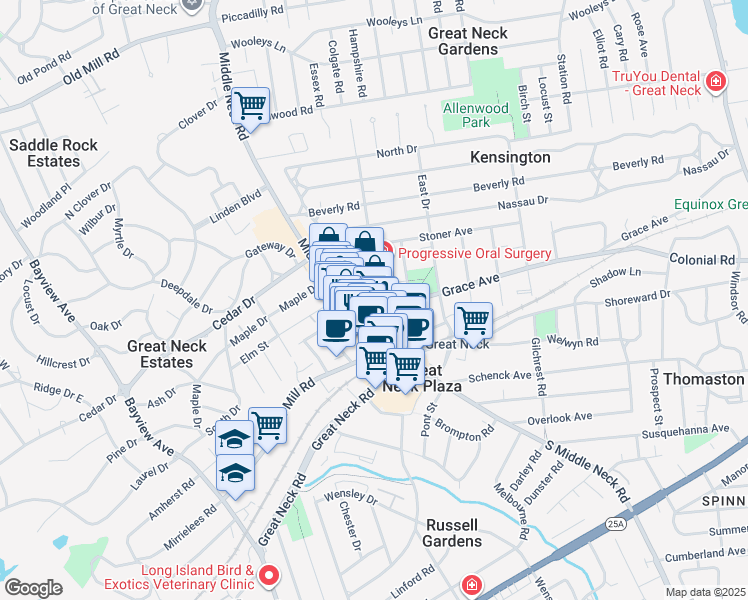 map of restaurants, bars, coffee shops, grocery stores, and more near 4 Maple Drive in Great Neck