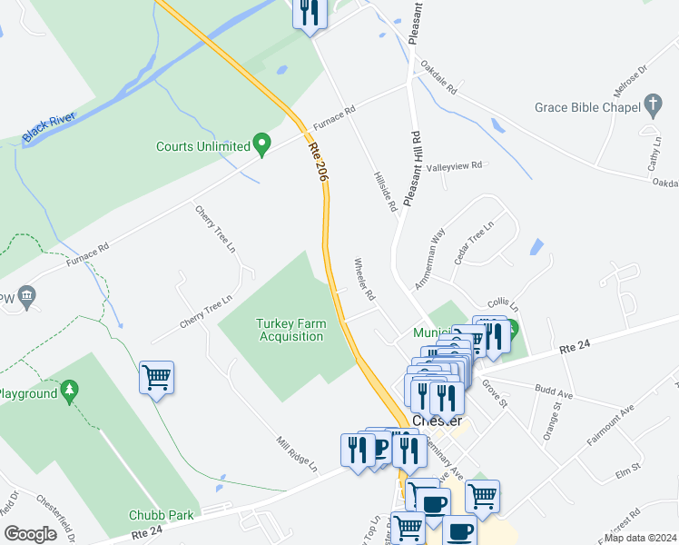 map of restaurants, bars, coffee shops, grocery stores, and more near 224 U.S. 206 in Chester