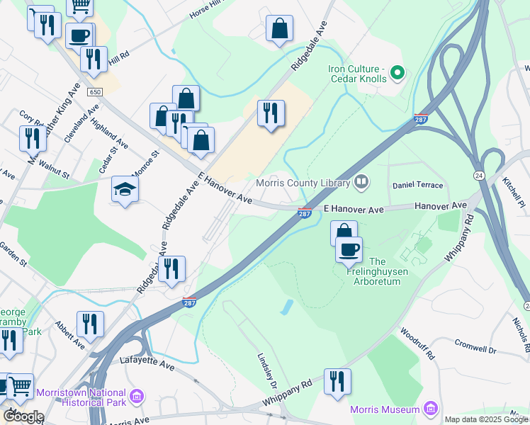 315 East Hanover Avenue, Cedar Knolls NJ Walk Score