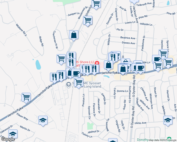 map of restaurants, bars, coffee shops, grocery stores, and more near 171 Lafayette Drive in Syosset