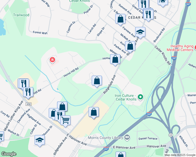 map of restaurants, bars, coffee shops, grocery stores, and more near 196 Ridgedale Avenue in Hanover