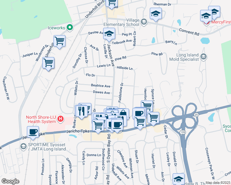 map of restaurants, bars, coffee shops, grocery stores, and more near 265 Jackson Avenue in Syosset