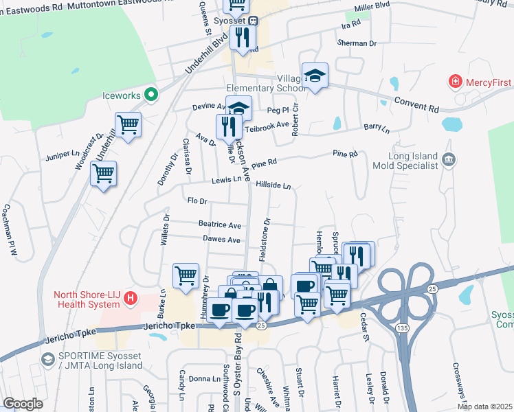 map of restaurants, bars, coffee shops, grocery stores, and more near 243 Jackson Avenue in Syosset