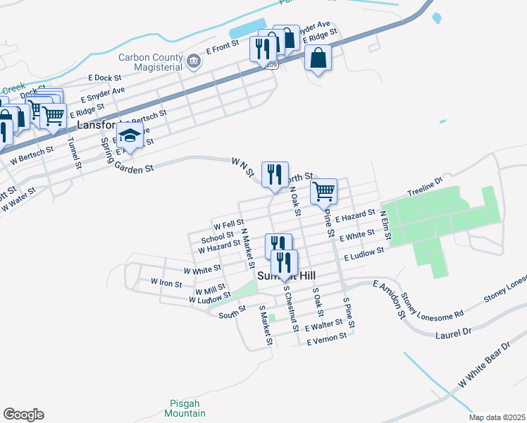 10 West Fell Street, Summit Hill PA Walk Score