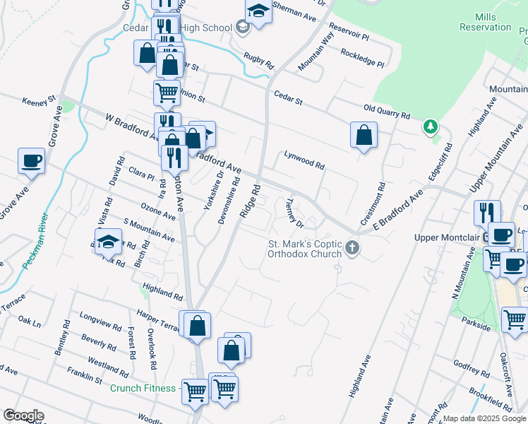 map of restaurants, bars, coffee shops, grocery stores, and more near 159 Ridge Road in Cedar Grove