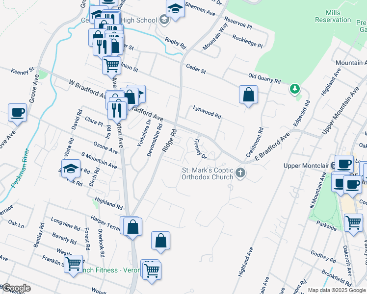 map of restaurants, bars, coffee shops, grocery stores, and more near 159 Ridge Road in Cedar Grove