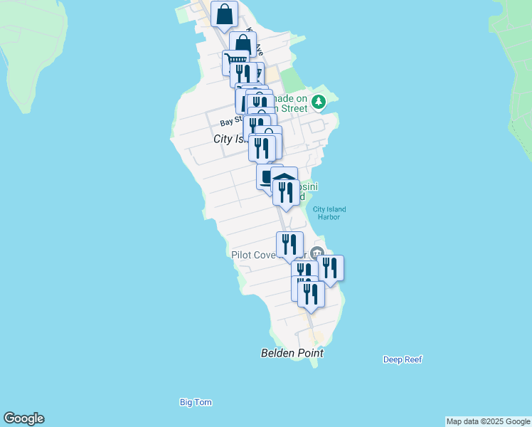 map of restaurants, bars, coffee shops, grocery stores, and more near 78 Winters Street in Bronx