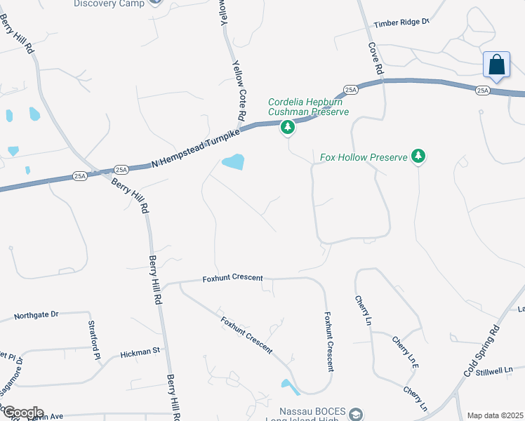 map of restaurants, bars, coffee shops, grocery stores, and more near 7 Palatine Court in Syosset