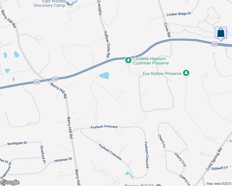 map of restaurants, bars, coffee shops, grocery stores, and more near 7 Palatine Court in Syosset