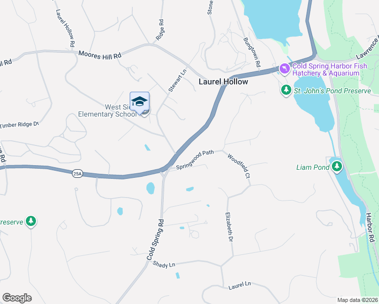 map of restaurants, bars, coffee shops, grocery stores, and more near 165 Stewart Lane in Syosset