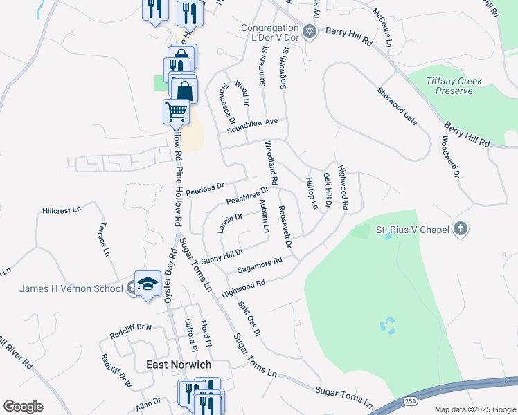 map of restaurants, bars, coffee shops, grocery stores, and more near 124 Lancia Drive in East Norwich