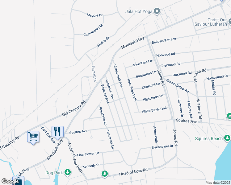 map of restaurants, bars, coffee shops, grocery stores, and more near 19 Ocean Avenue in East Quogue