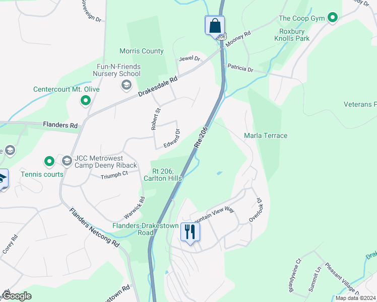 map of restaurants, bars, coffee shops, grocery stores, and more near 142 U.S. 206 in Mount Olive